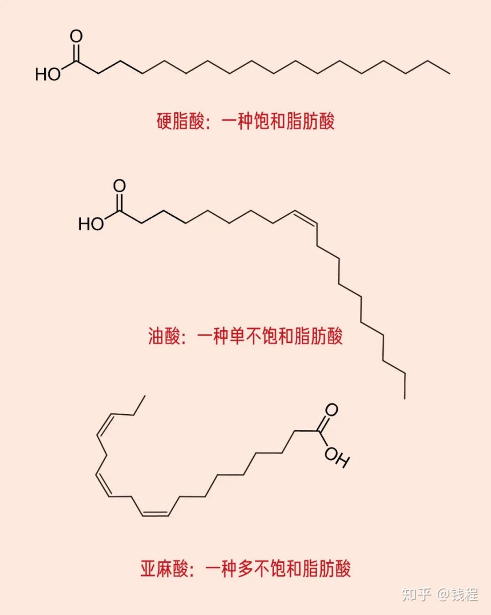 辛癸酸甘油酯廠家供應商